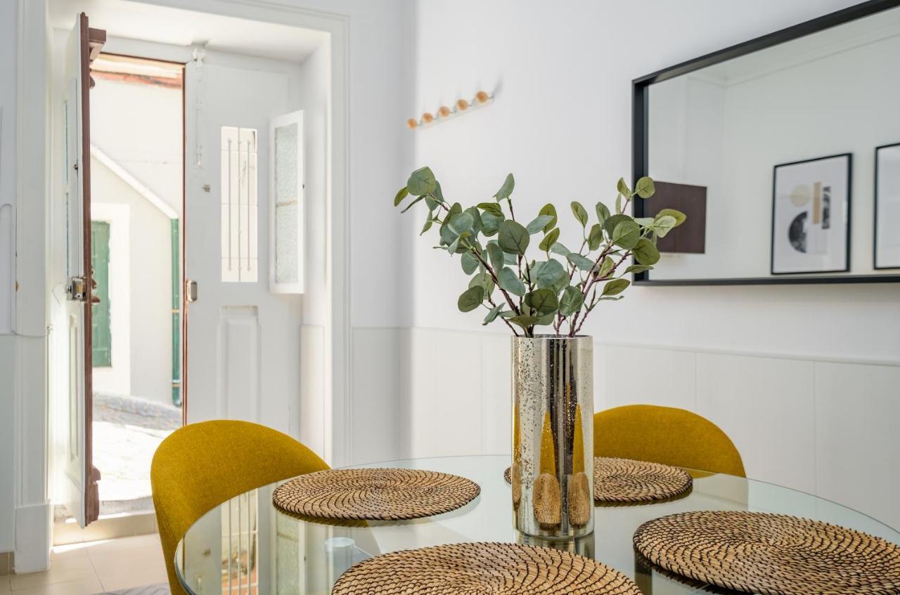 New! Unique 1 Bedroom Apartment- Santa Catarina 42 Appartement *